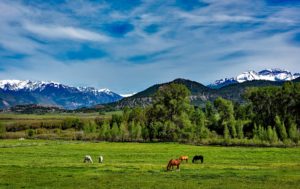 Ranch Acreage?